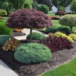 commercial landscape design