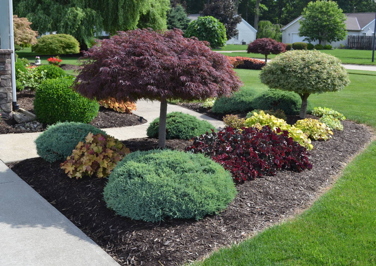 commercial landscape design