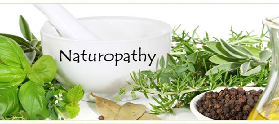 What Exactly Is a Naturopathic Doctor?