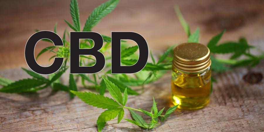 The Benefits of CBD Oil for Anxiety