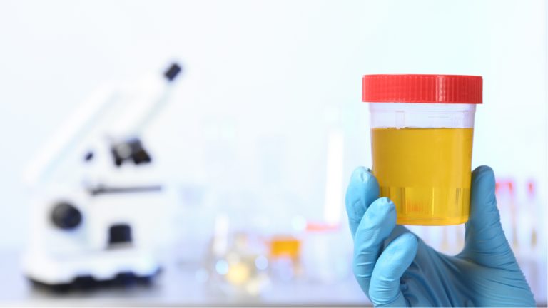 Are synthetic urine kits safe to use?