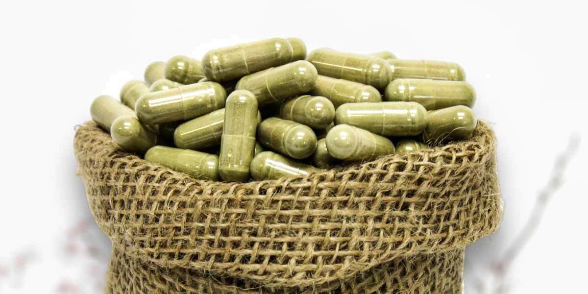 What factors contribute to the strength of a kratom strain, such as cultivation, processing, or alkaloid content?