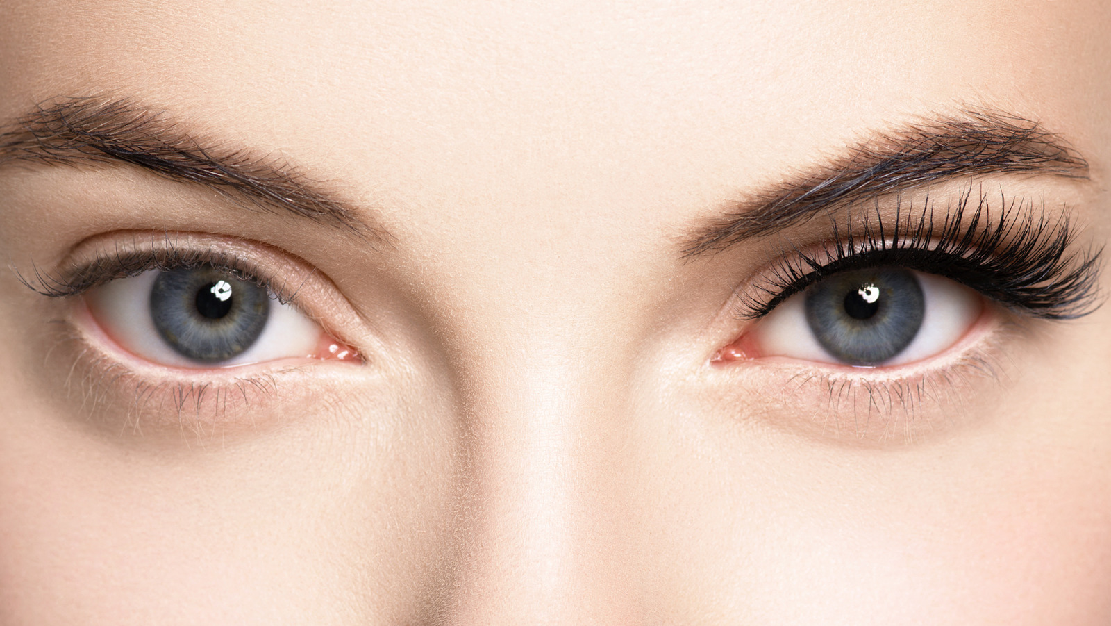 At Your First Eyelash Lift and Tint Appointment, What To Expect