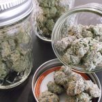 How Long Does it Take to Receive CBD Products Ordered Online?