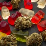 Cannabis edibles, medical marijuana, CBD infused gummies and edible pot concept theme with close up on colorful gummy bears and weed buds on dark background