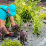 Tips for Hiring Professional Landscapers in Victoria, BC
